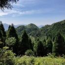 青松岭1y的头像