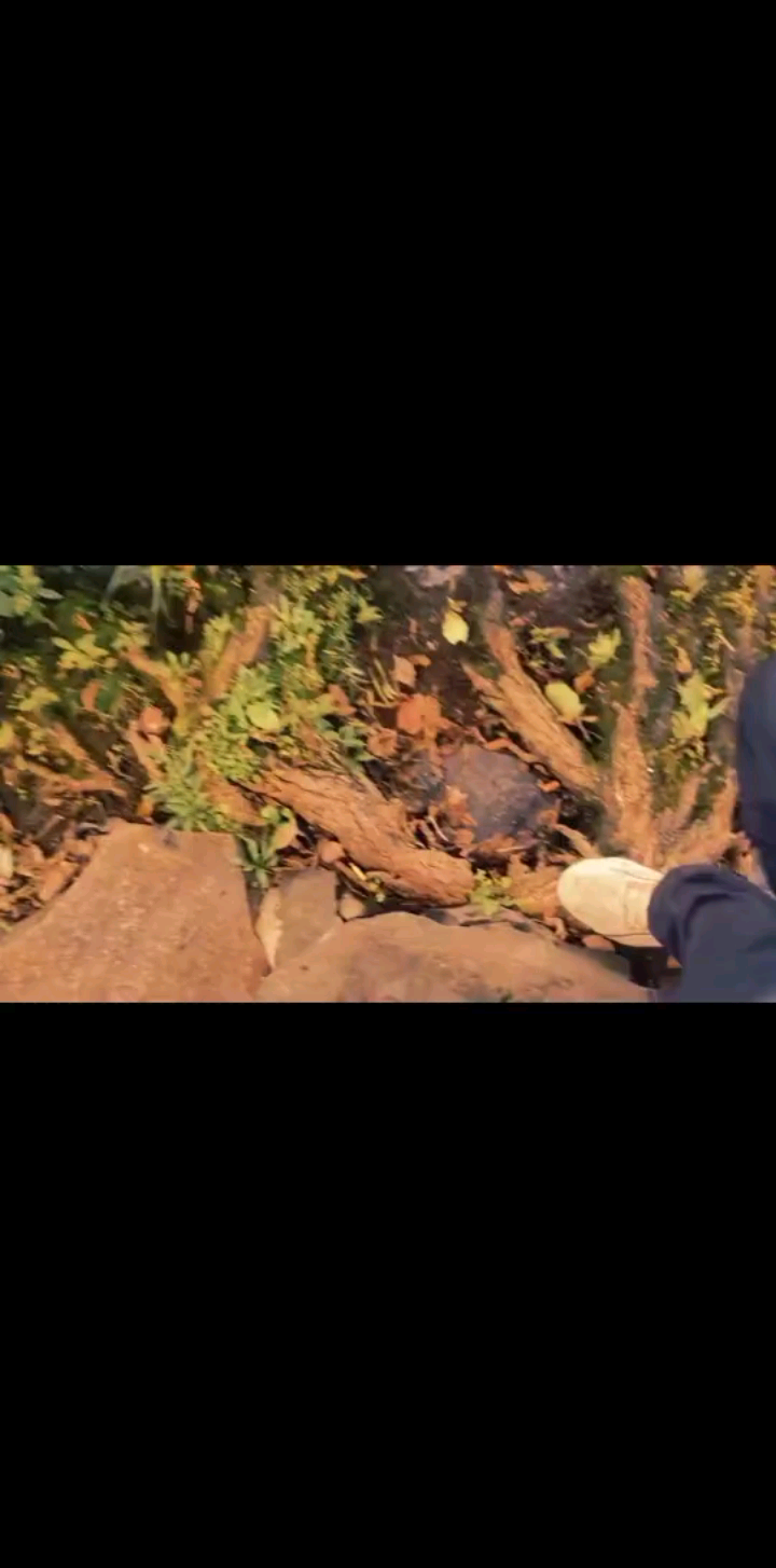 我一个人静静的坐了好久