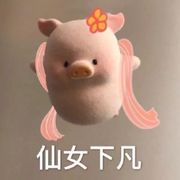 胖微丫頭