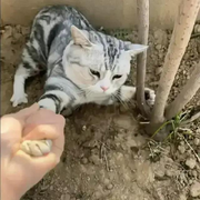 一言既出，扭頭就忘的頭像