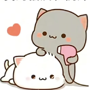 悄悄同学，.