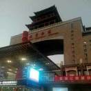 独狼47h