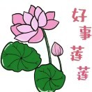蓮xr6的頭像