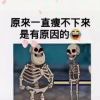 零度的浪漫n