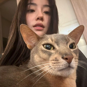 小蛋挞求投喂💗