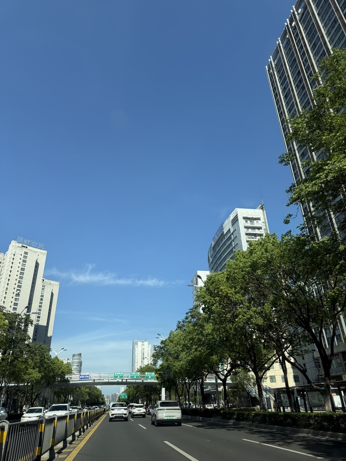 Lily喵的主播照片