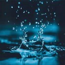 風(fēng)起葉落*5的頭像