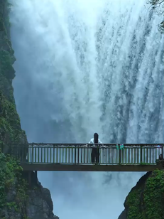 此刻抬头我即是自由🆓