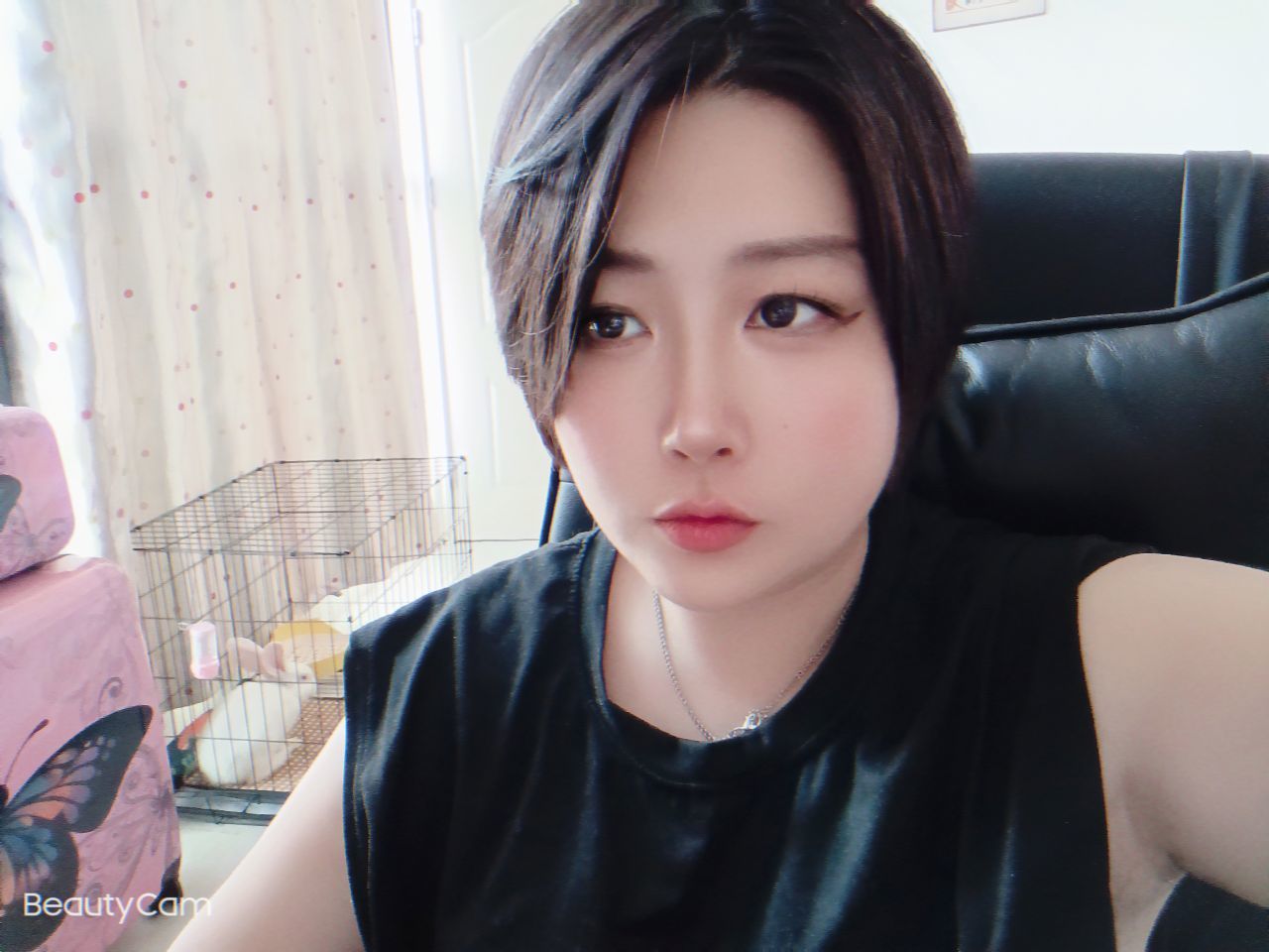 甜甜私房猫_的图片