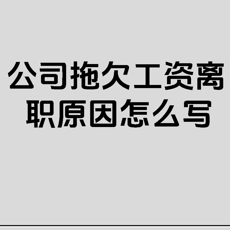 朵朵家洪儿～专业厨师海报