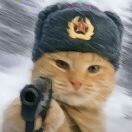 落在生命里的光c