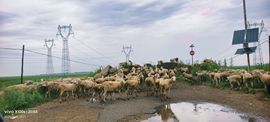 妞妞徒步三亚主播照片