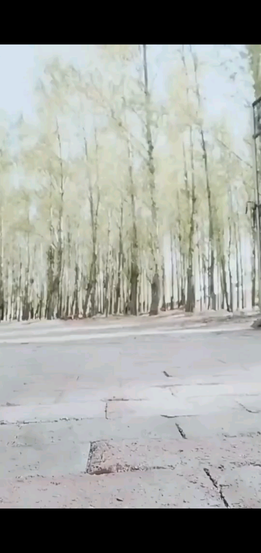 一场相遇，一生铭记，