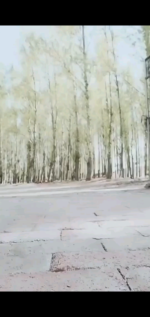 一场相遇，一生铭记，