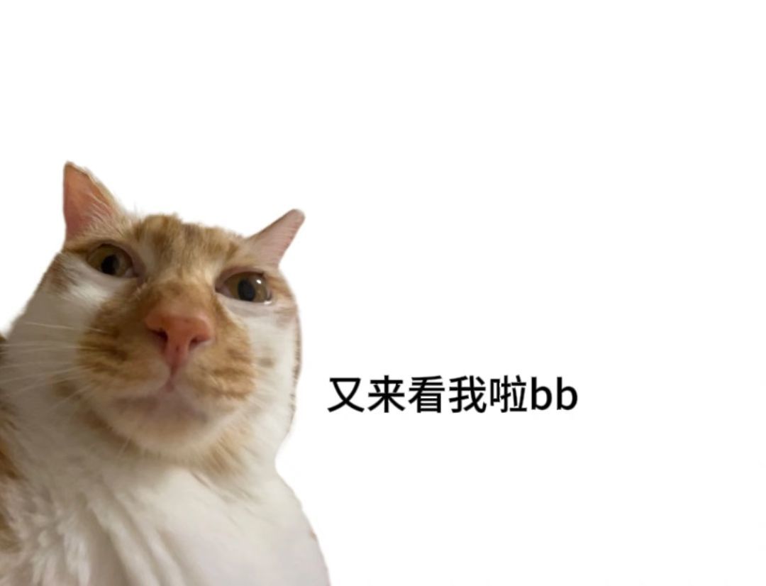 🦊悟空的图片