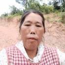 殷连心（177870
