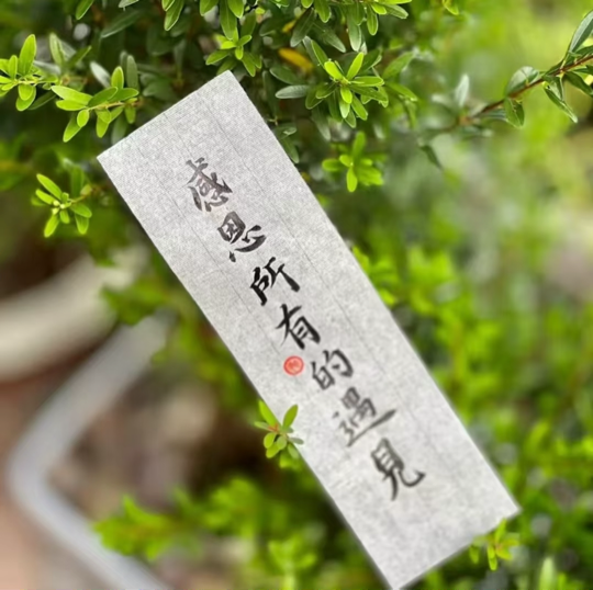 💦念初💫感恩大家海报