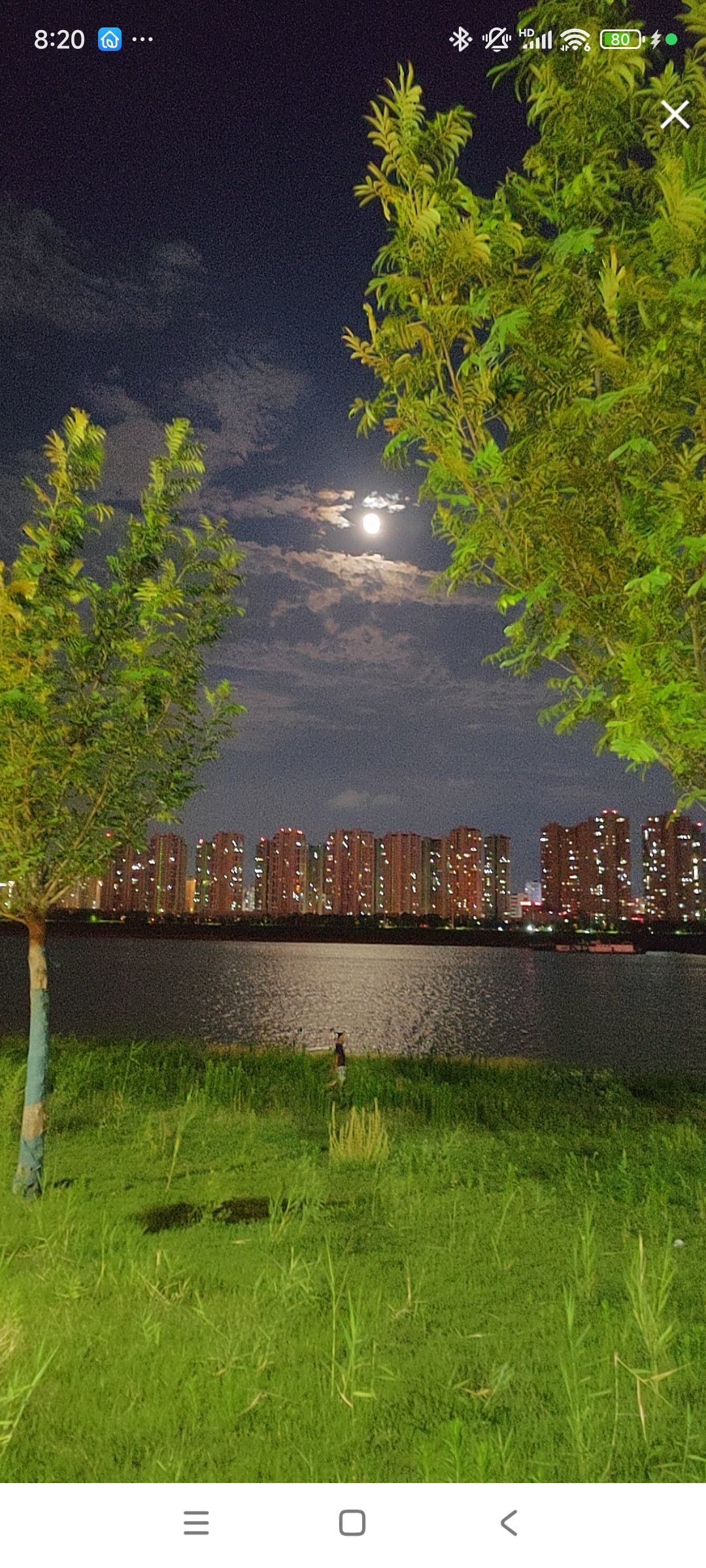 婷婷💕感恩有你陪伴的图片