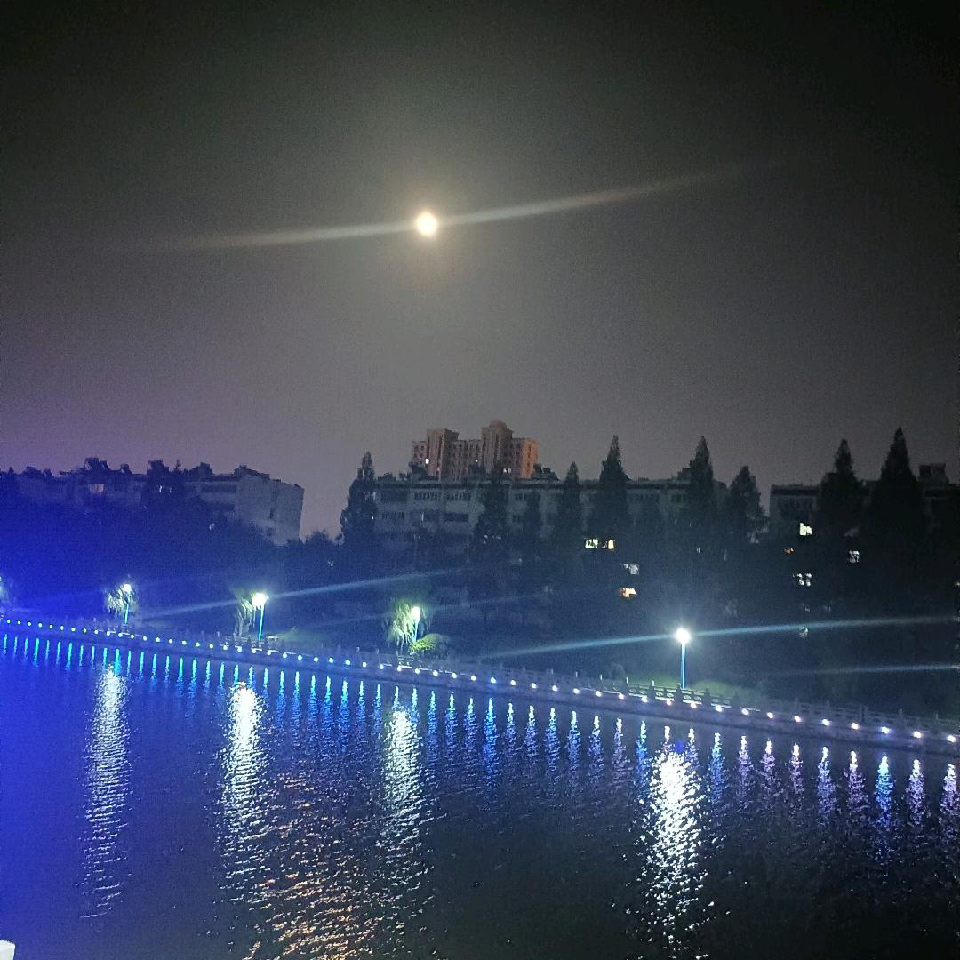 浪迹天涯的剑圣海报