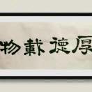 度5y