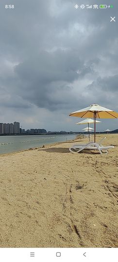 婷婷💕感恩有你陪伴的图片