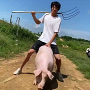 騏猪滴骚年