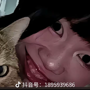 你不靠谱的爹来了海报