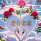 龙弟jg