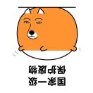 逆光之城m