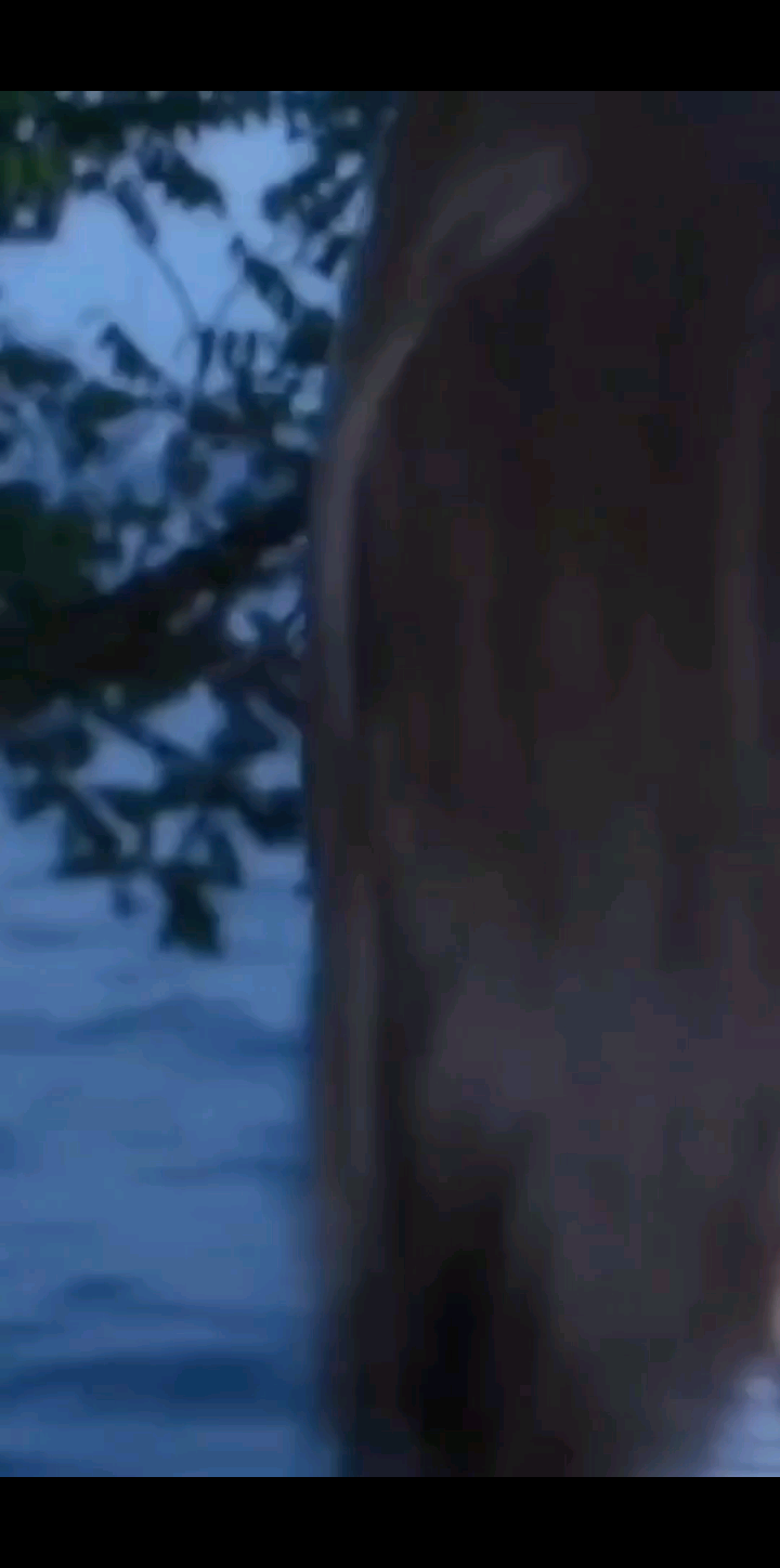 随拍