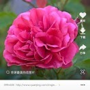 善良人生，Fhb+生的头像
