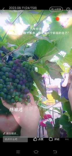 野百合一朵朵🌱🌱主播照片