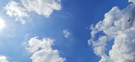 小白队长💧心里美☜主播照片