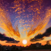 蜂蜜水1
