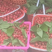 昵称违规，请重新修改