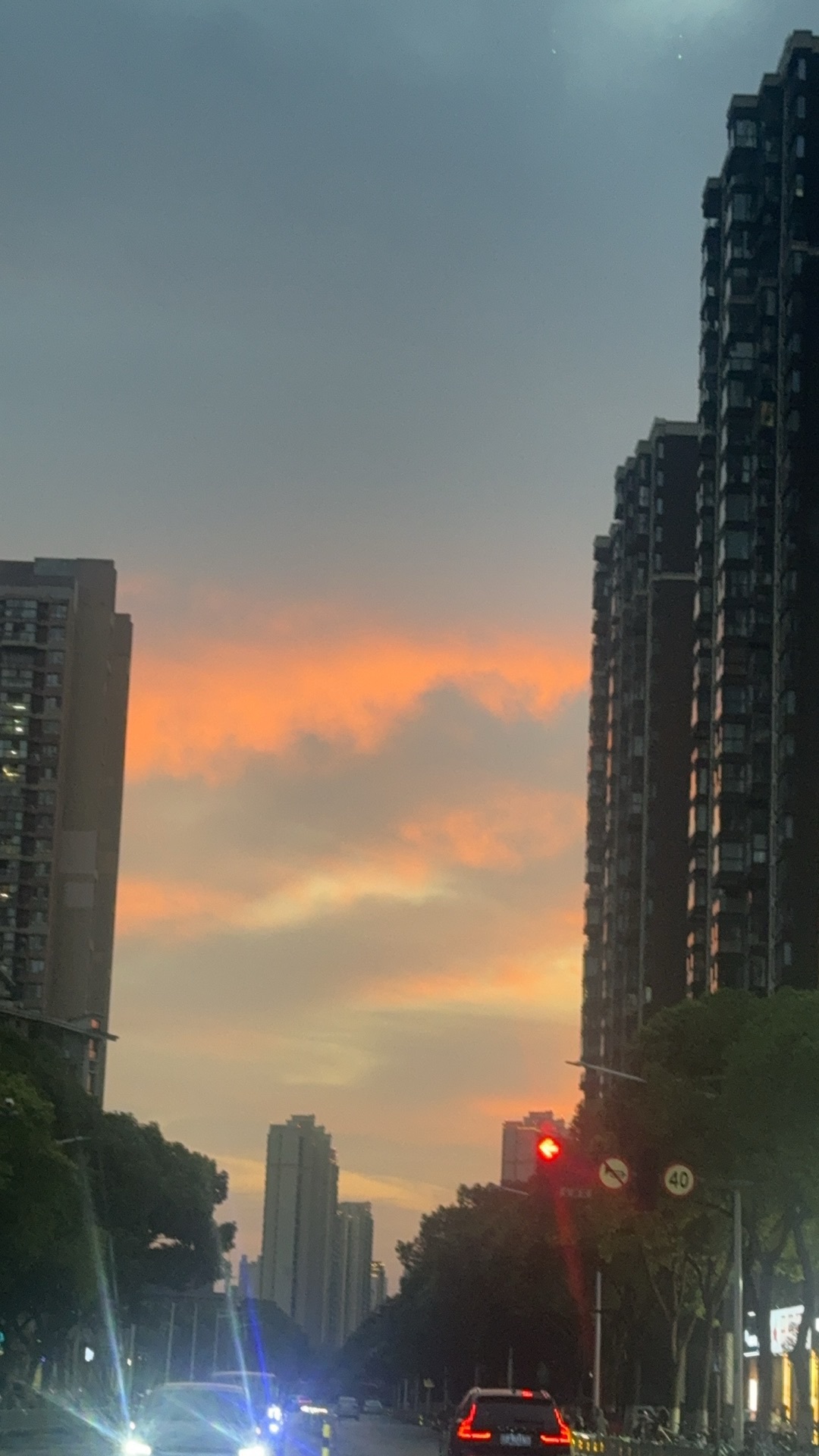 小蝶👑～的图片