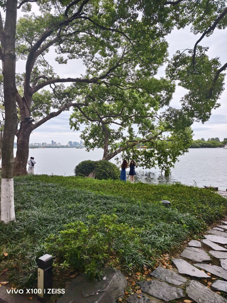 若惜✨星辰的图片