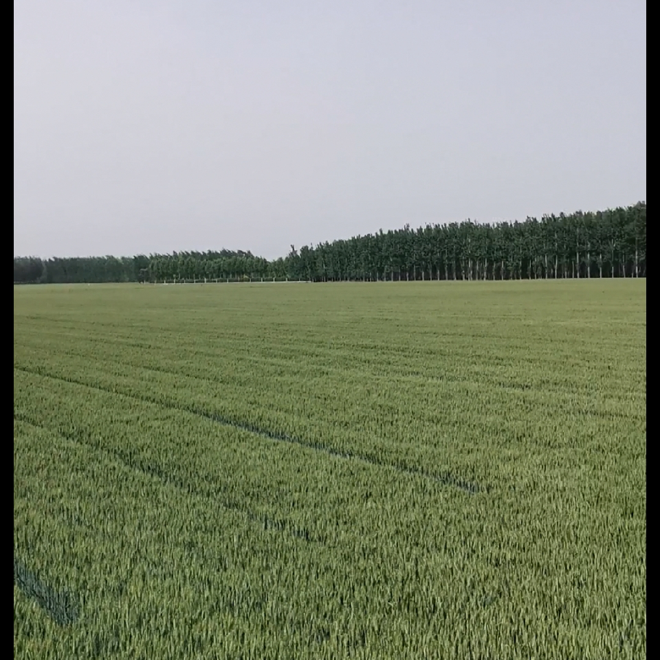 斜月微舟海报