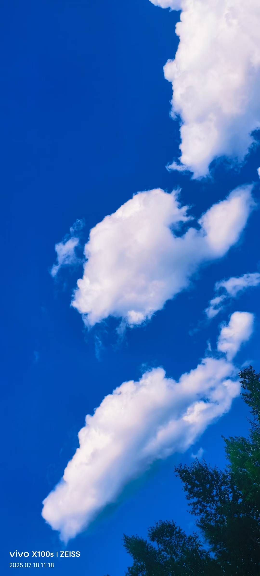 妞妞骑行宁夏银川的图片
