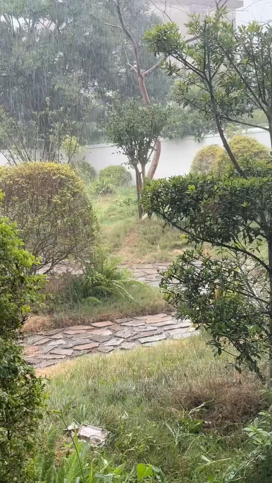 这个天像坏男人的心一