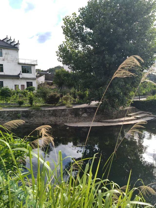 婷婷💕求过月底任务的图片
