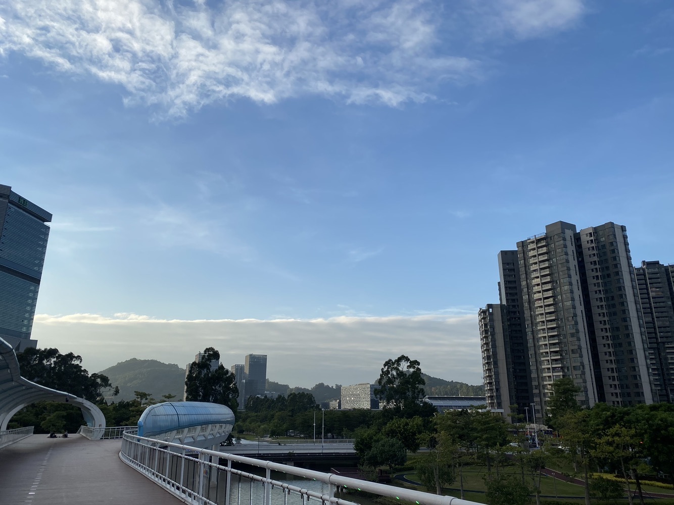 半壺殘酒溫舊夢主播圖片