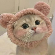萌新宝宝uu