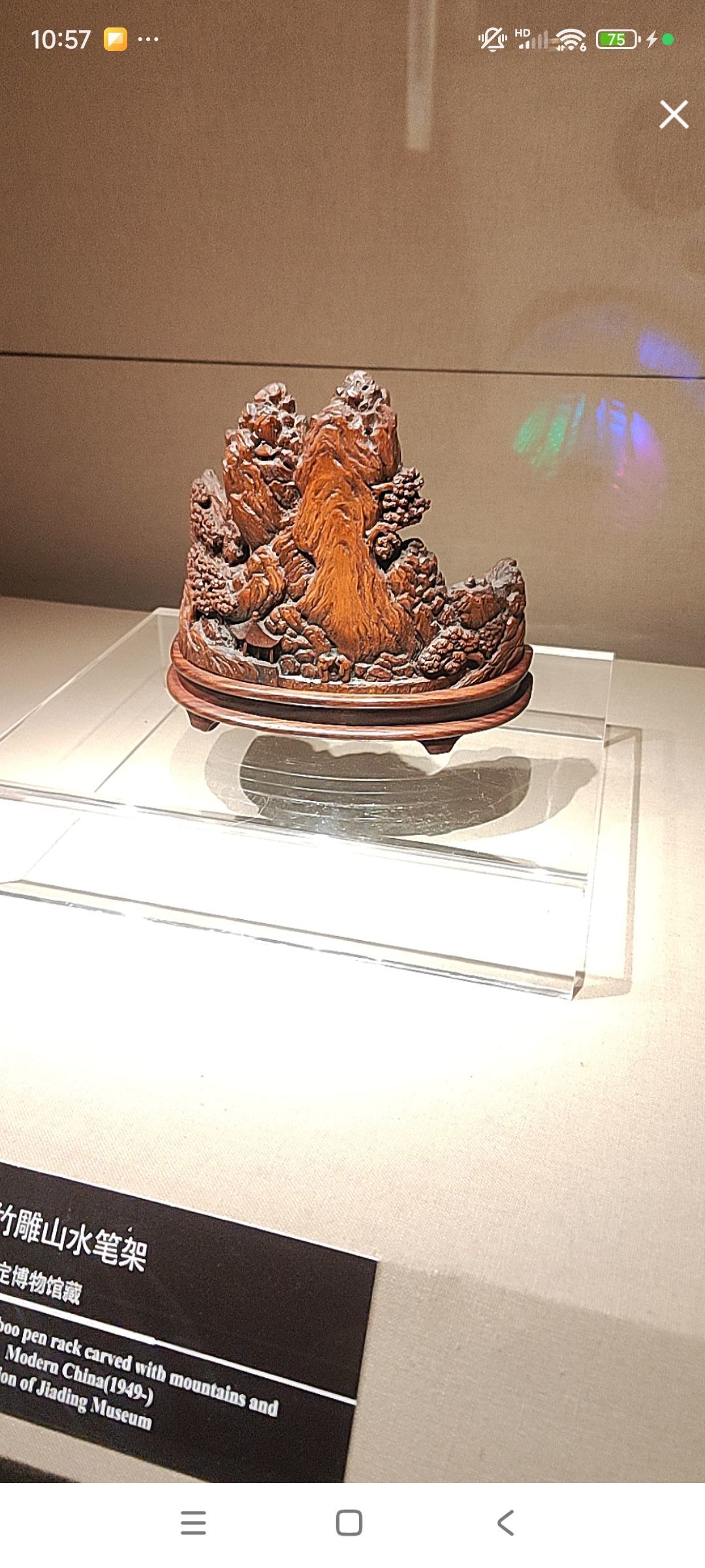 婷婷💕感恩有你陪伴的图片