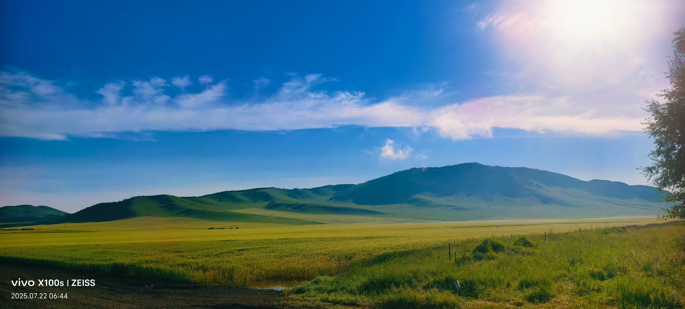 妞妞骑行宁夏银川的图片
