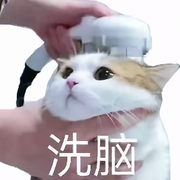 笑笑生♀