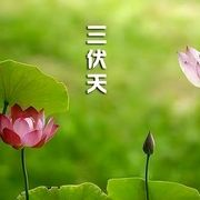 永远的山鹰