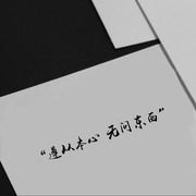 野馬.b