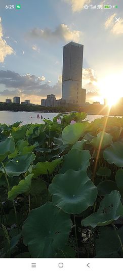婷婷💕感恩有你陪伴主播照片