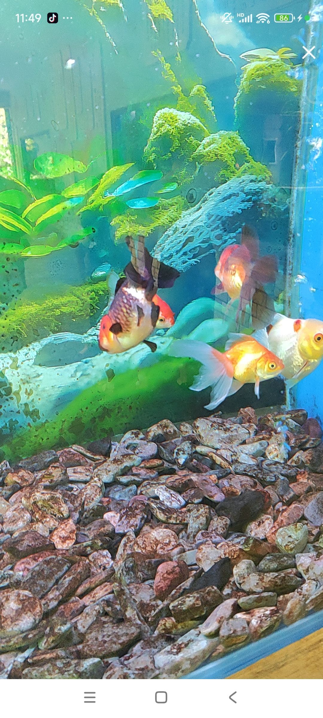 婷婷💕感恩有你陪伴的主播照片